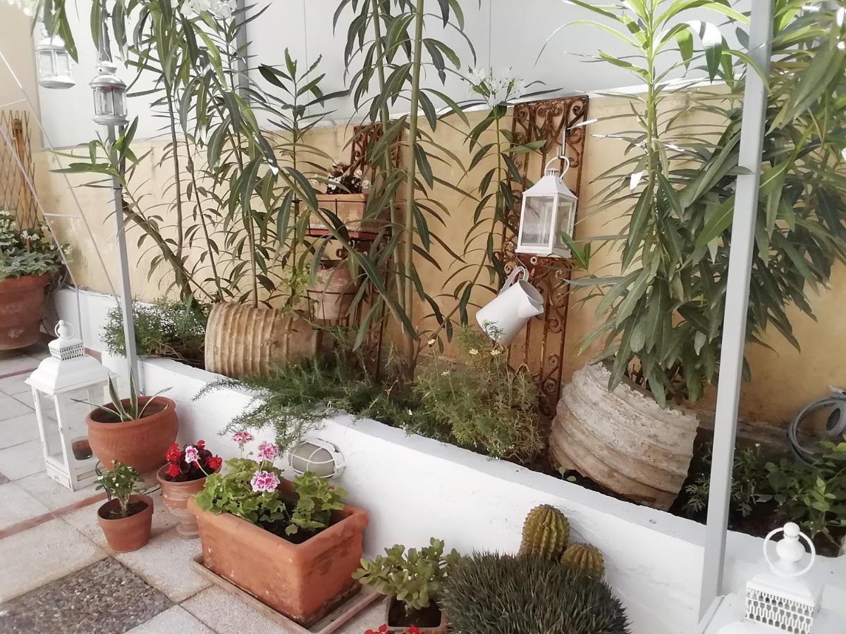 Amazing Semi-Basement Art Apartment Easy Walk To Nafplio Centre Ngoại thất bức ảnh